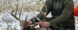 He was my first muzzleloader kill, what a thrill. I plan to pack my ultra-lite more often after seeing how effective it can be.  BBD.